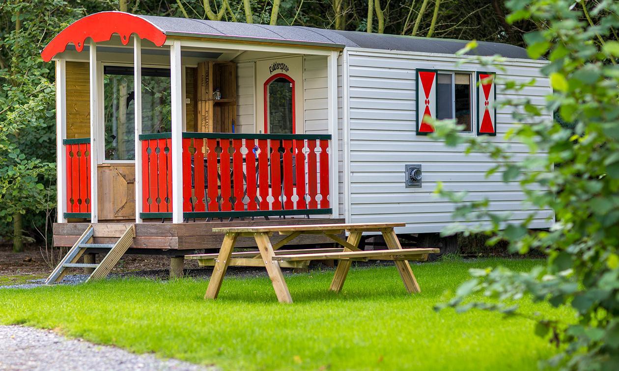 Pipowagen-Ridderspoor